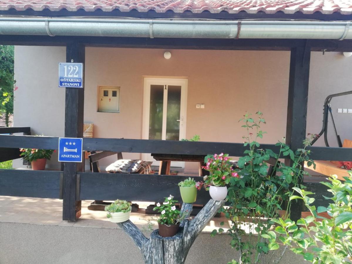 Apartman Adam Rakovica Zewnętrze zdjęcie