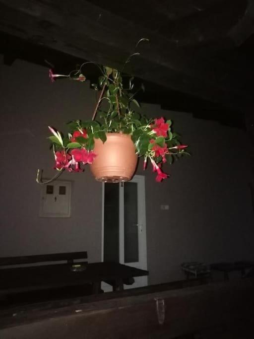 Apartman Adam Rakovica Zewnętrze zdjęcie