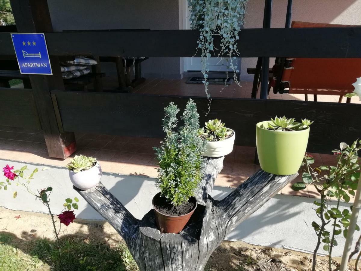 Apartman Adam Rakovica Zewnętrze zdjęcie